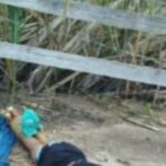 Homem é encontrado morto com tiros na cabeça e pés amarrados, em Campos dos Goytacazes – RJ