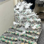 Polícia Militar apreende grande quantidade de drogas em esconderijo em Santo Antônio de Pádua (RJ)