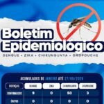 Italva tem 3 casos confirmados de oropouche e 50 de chikungunya