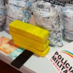 Droga avaliada em quase R$ 80 mil é apreendida em rodovia no Sul de Minas