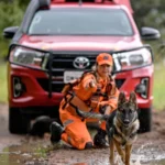 Câmara de Belo Horizonte (MG) discutir uso de corpos humanos para treinar cães farejadores