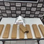 PM apreende 15 kg de maconha em Muriaé (MG)