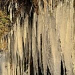 Cidade mais fria do Brasil bate recorde de frio em SC em 2025: -8ºC