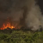 Câmara aprova aumento de pena para crimes de incêndio em florestas