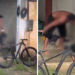 Tapas e chutes: PM é preso suspeito de maus-tratos a cachorro no ES