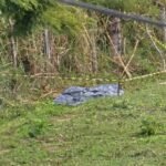 Jovem é encontrado morto na zona rural de Laje do Muriaé (RJ)