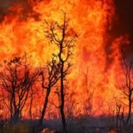 Noroeste RJ retorna ao risco “muito alto” de incêndio florestal