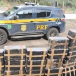 PRF apreende quase 800 kg de maconha em Juiz de Fora (MG); motorista é preso