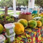 Italva (RJ) recebe 4ª feira regional de produtores agroecológicos nesta terça (30)
