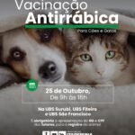 Itaperuna (RJ) realiza vacinação antirrábica para cães e gatos neste dia 25
