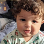 Morre bebê de 10 meses atacado por pitbull em Campos dos Goytacazes (RJ)