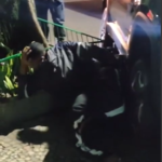 Motorista de carro reage a assalto e atropela criminosos no Rio de Janeiro