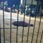 Mulher é assassinada a tiros e homem fica ferido em ataque em Manhuaçu (MG)
