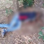 Homem é encontrado morto com marcas de tiros às margens da RJ-224, em Campos dos Goytacazes