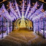 Itaperuna (RJ) inaugura iluminação de Natal nesta sexta (28), a partir das 20h