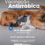 Itaperuna realiza vacinação antirrábica para cães e gatos no Dia 8 de Novembro