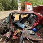 Sete pessoas ficam feridas em colisão frontal na BR-116 em Muriaé (MG)