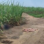 Corpo de homem é encontrado com marcas de tiros em Campos dos Goytacazes (RJ)