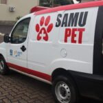 Belo Horizonte vai ganhar ambulâncias do SAMU para atendimento de cães e gatos
