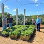 Italva e UFES iniciam pesquisa com 42 clones de café conilon para impulsionar agricultura local