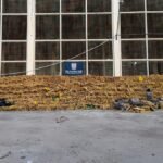 Recorde histórico: PM apreende 48 toneladas de drogas no complexo da Complexo da Maré (RJ)