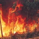 “El Niño chegou e pode ser muito forte”: O grave alerta de agência sobre o fenômeno climático