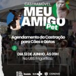 Itaperuna abre agendamento para castração gratuita de cães e gatos nesta sexta-feira (12)