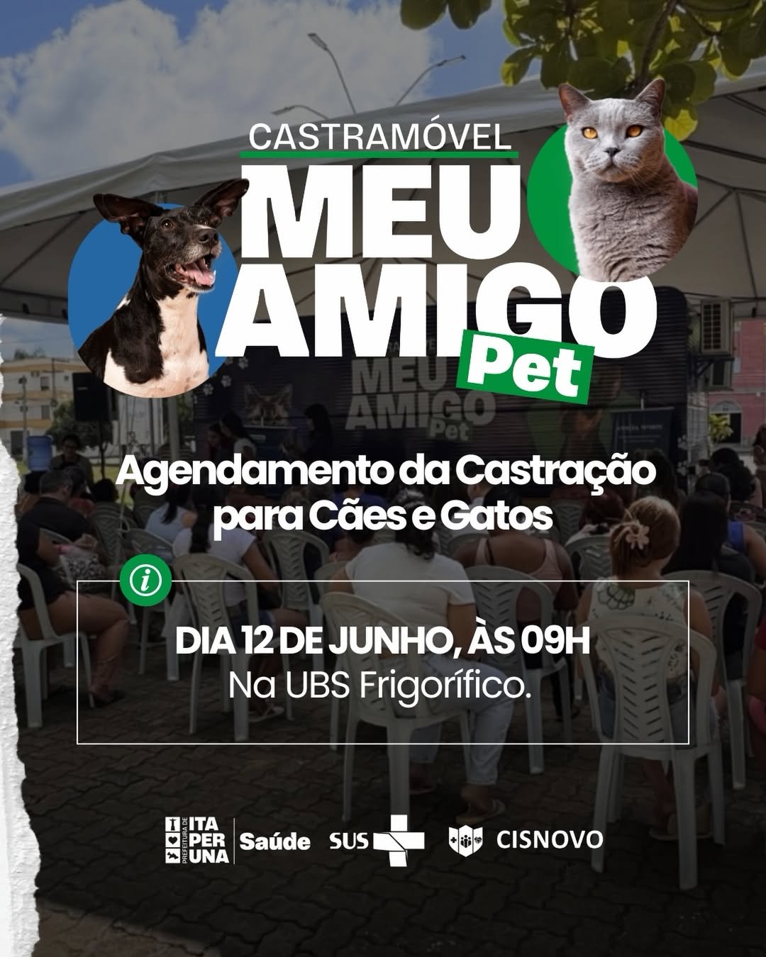Itaperuna abre agendamento para castração gratuita de cães e gatos nesta sexta-feira (12)