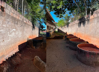 Risco Estrutural em Muro Força Interdição e Redução de Atendimentos na APAE de Italva (RJ)