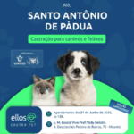 Mutirão de castração gratuita de cães e gatos em Santo Antônio de Pádua (RJ)
