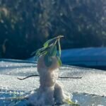 Cachoeira congelada no Pico da Bandeira impressiona visitantes durante onda de frio