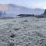 Sul de Minas registra frio intenso e geada transforma paisagem em cenário congelado