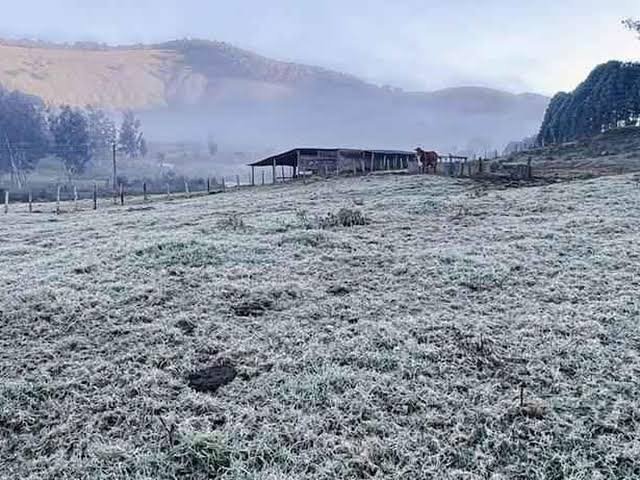 Sul de Minas registra frio intenso e geada transforma paisagem em cenário congelado