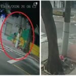 Mulher é flagrada usando fezes de cachorro para vandalizar pintura de Bolsonaro em Vitória (ES)