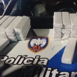 Motorista é preso com 41 kg de maconha após dirigir em zigue-zague na BR-101, em São Mateus (ES)