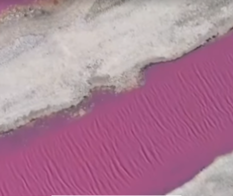 Imagens de drone revelam coloração rosa das Salinas Perynas, em Cabo Frio