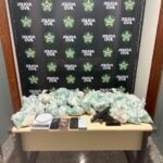 Casal é preso com mais de 4 mil pinos de cocaína e pistola em operação integrada em Miracema (RJ)