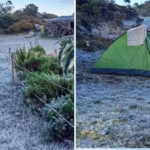 Frio intenso: Geada volta a cobrir paisagem na zona rural de Espera Feliz (MG)