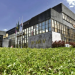 Decreto em Vitória (ES) garante sigilo de dados funcionais para servidoras com medidas protetivas