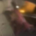 Entregador da Shopee é morto a tiros durante tentativa de assalto na BR-356, em Campos dos Goytacazes (RJ)