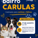 Bairro Carulas recebe ação de castração gratuita para cães e gatos em Itaperuna (RJ)