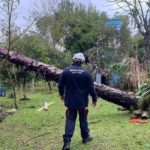 Alerta meteorológico: Sudeste entra na rota de tempestades e vendavais severos nos próximos dias
