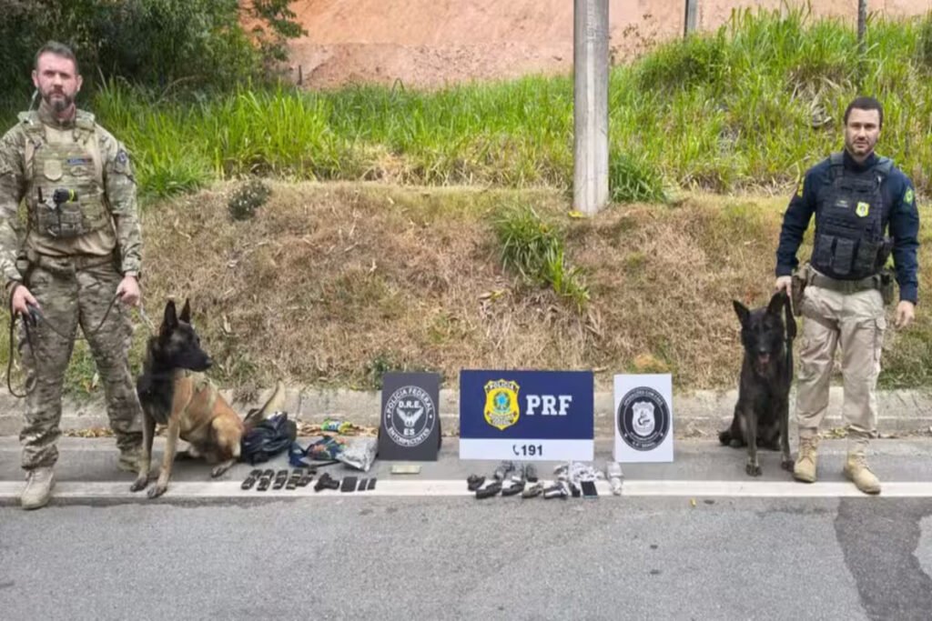 Grávida e adolescente são flagrados transportando drogas e armas em ônibus na BR-101, no Sul do ES
