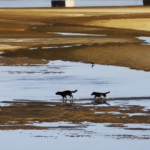 Primavera começa com previsão de calor e chuva irregular no Espírito Santo