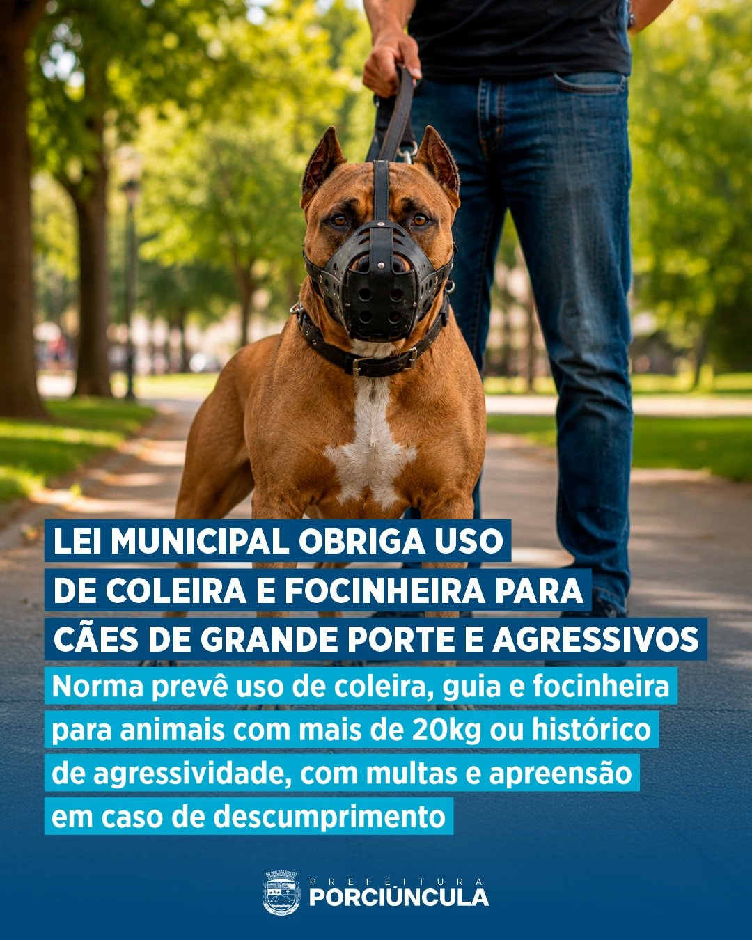 Porciúncula cria regras para condução de cães de grande porte e animais agressivos