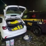 PRF apreende 42 quilos de maconha e 20 litros de lança-perfume na BR-101, em Casimiro de Abreu (RJ)