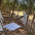 Boa Esperança confirma terceiro caso de febre maculosa em 2026