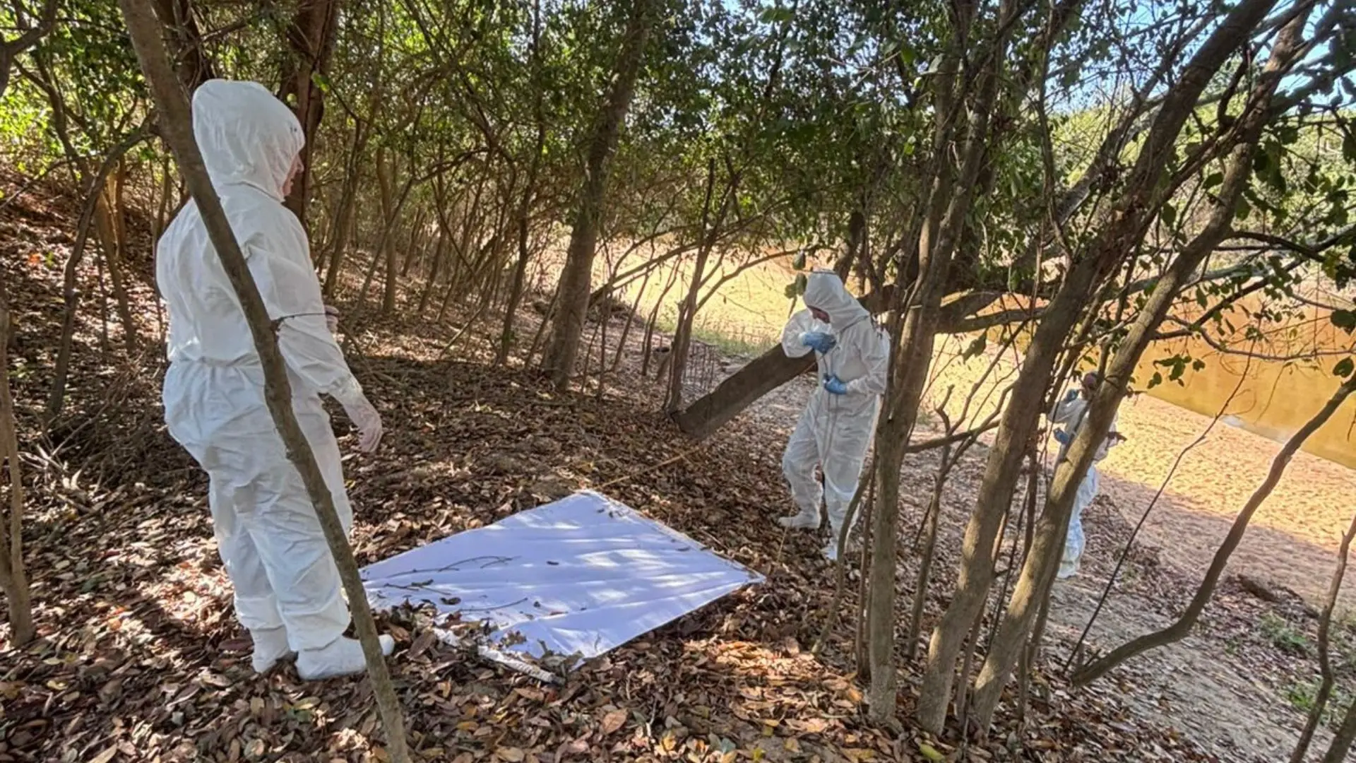 Boa Esperança confirma terceiro caso de febre maculosa em 2026