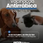 Itaperuna realiza vacinação antirrábica para cães e gatos nos distritos