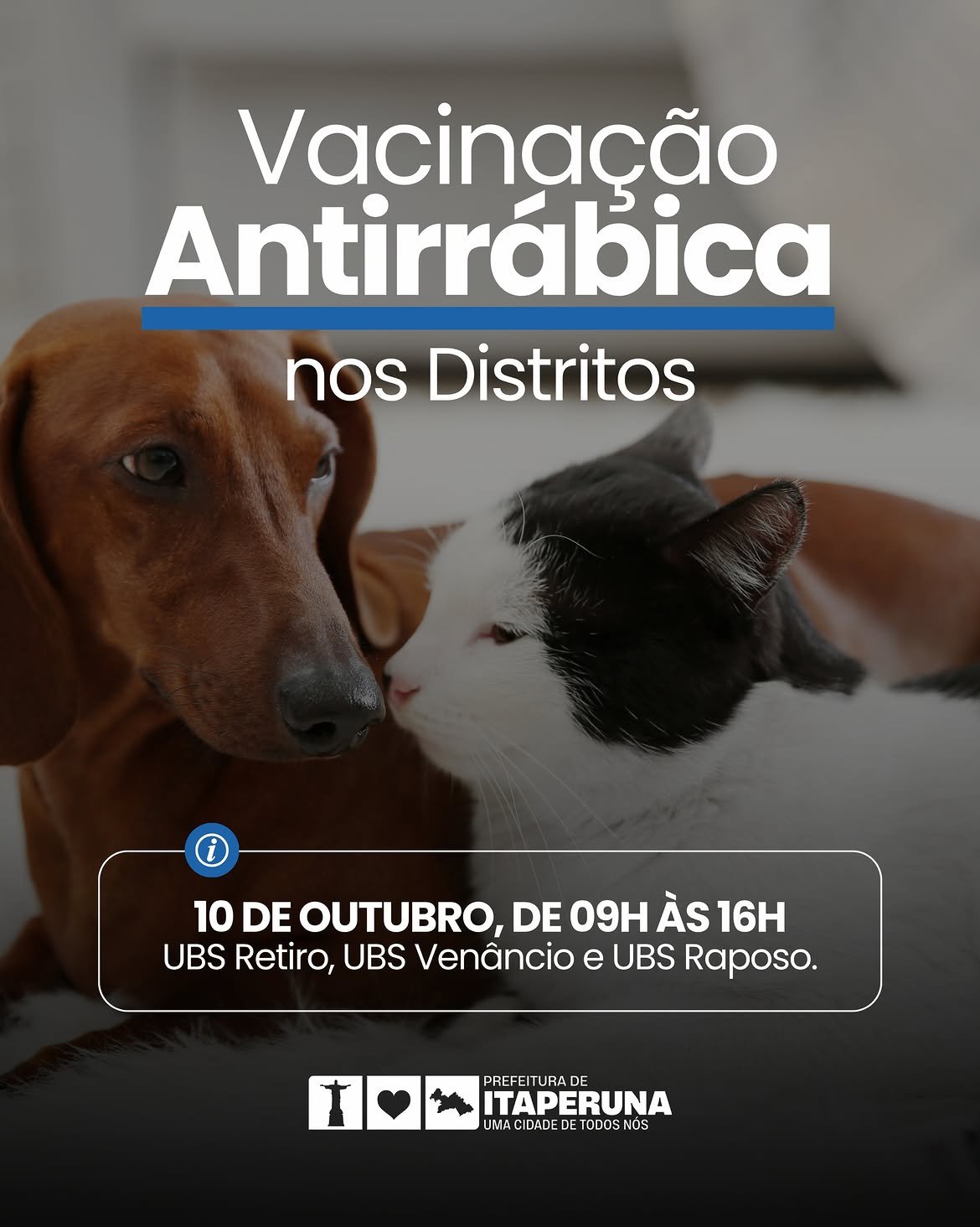 Itaperuna realiza vacinação antirrábica para cães e gatos nos distritos